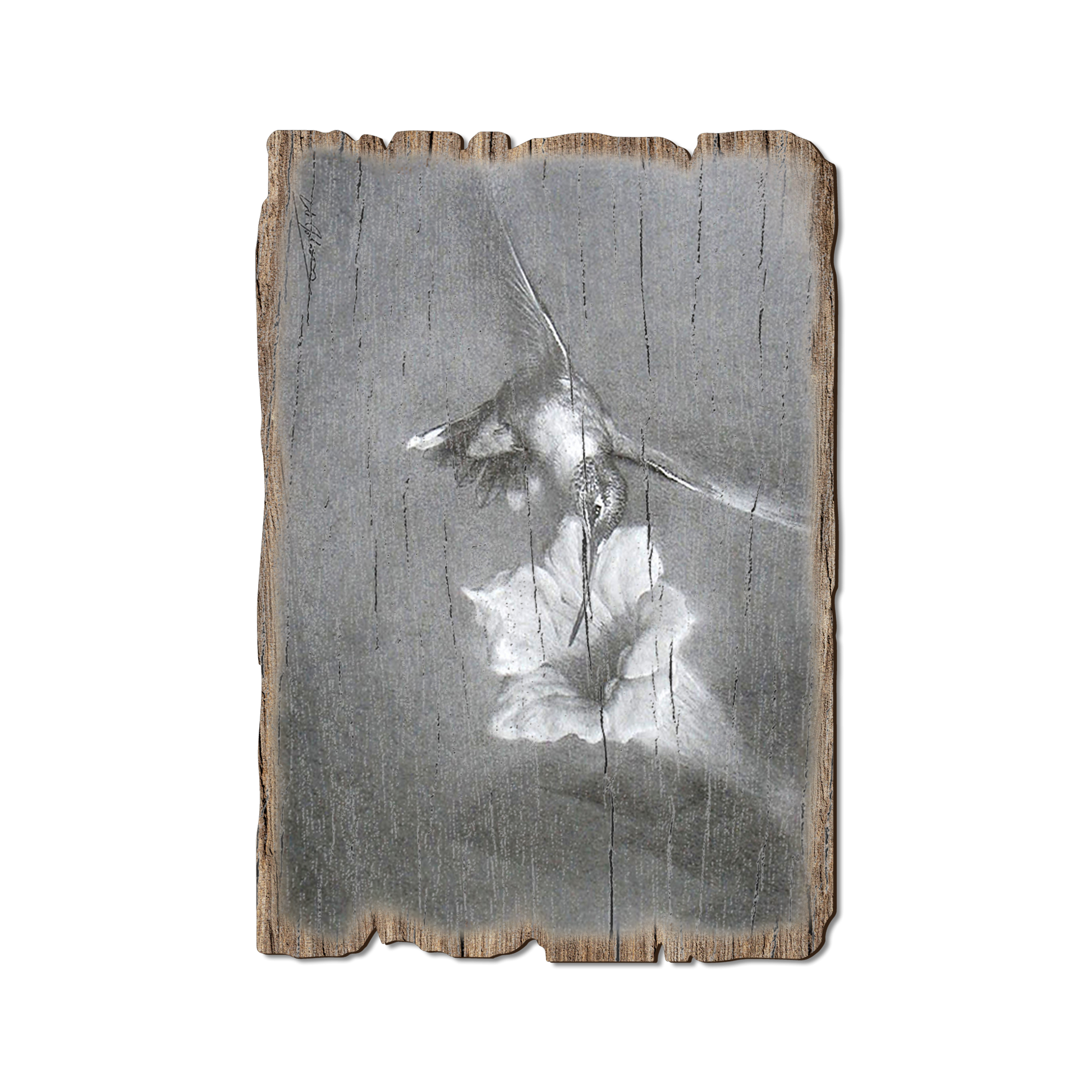 Greeting Card: Weathered Edge - Johnson's Vintage Hummingbird (Pack of 5)