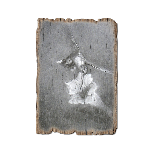 Greeting Card: Weathered Edge - Johnson's Vintage Hummingbird (Pack of 5)