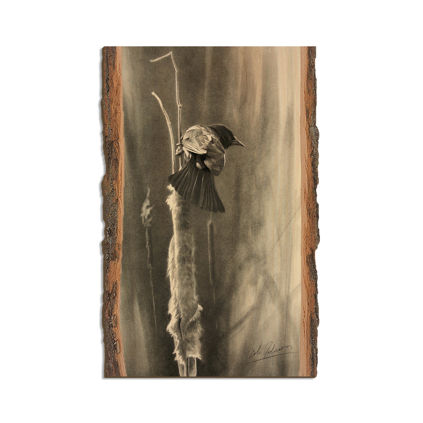 Johnson's Vintage Redwing - Live Edge Live Edge Magnet (5pk // $2.80ea)