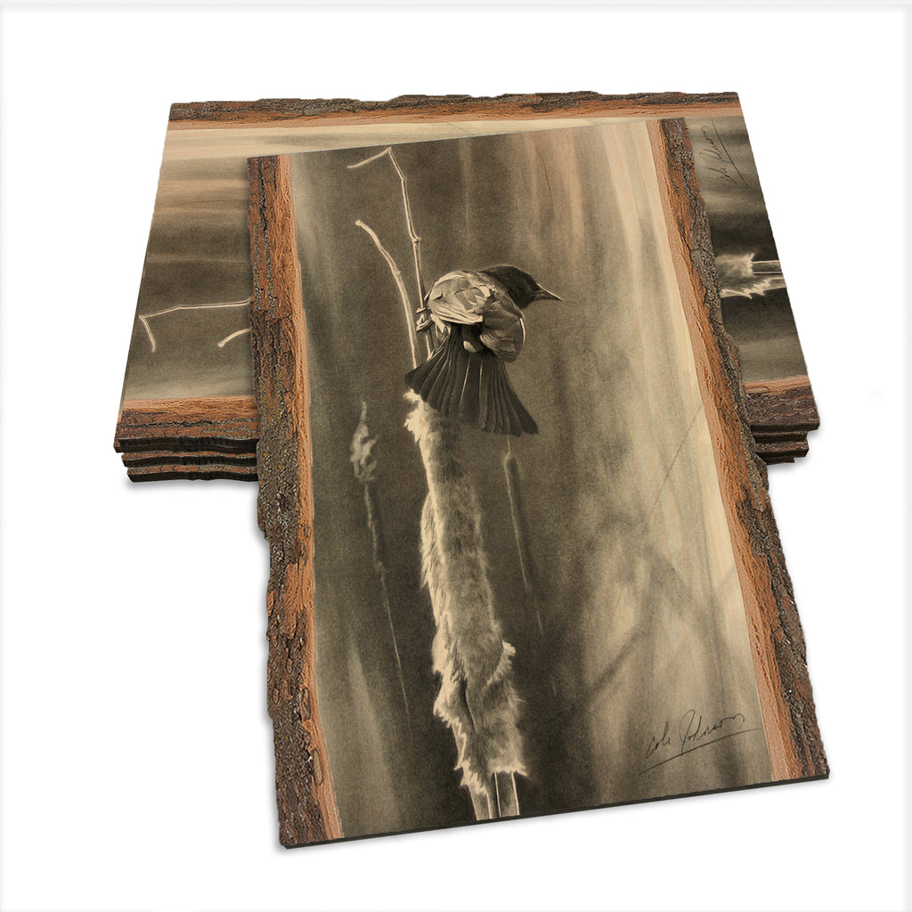 Johnson's Vintage Redwing - Live Edge Live Edge Postcard (5pk // $2.80ea)