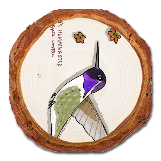Coaster: Live Edge - Costa's Hummingbird (Pack of 5)