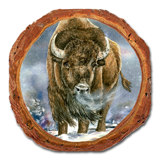 Coaster: Live Edge - Bartholet's American Buffalo (Pack of 5)