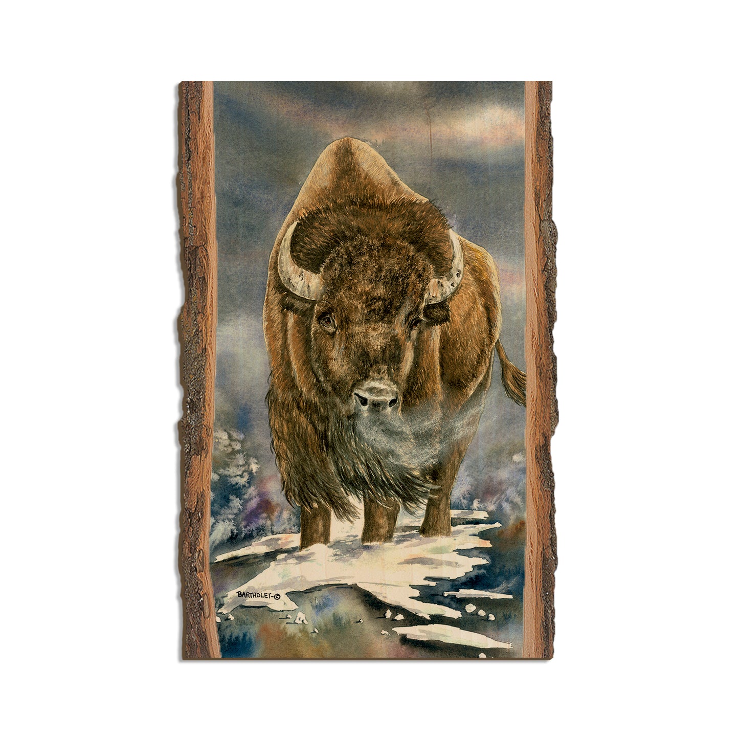 Bartholet's American Buffalo  - Live Edge Live Edge Magnet (5pk // $2.80ea)