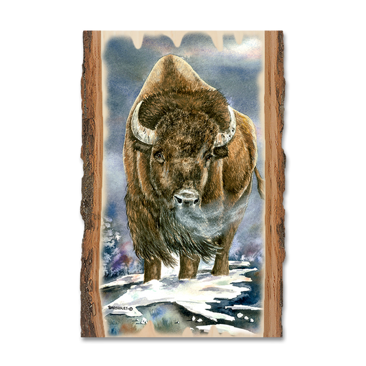 Magnet: Live Edge - Bartholet's American Buffalo
