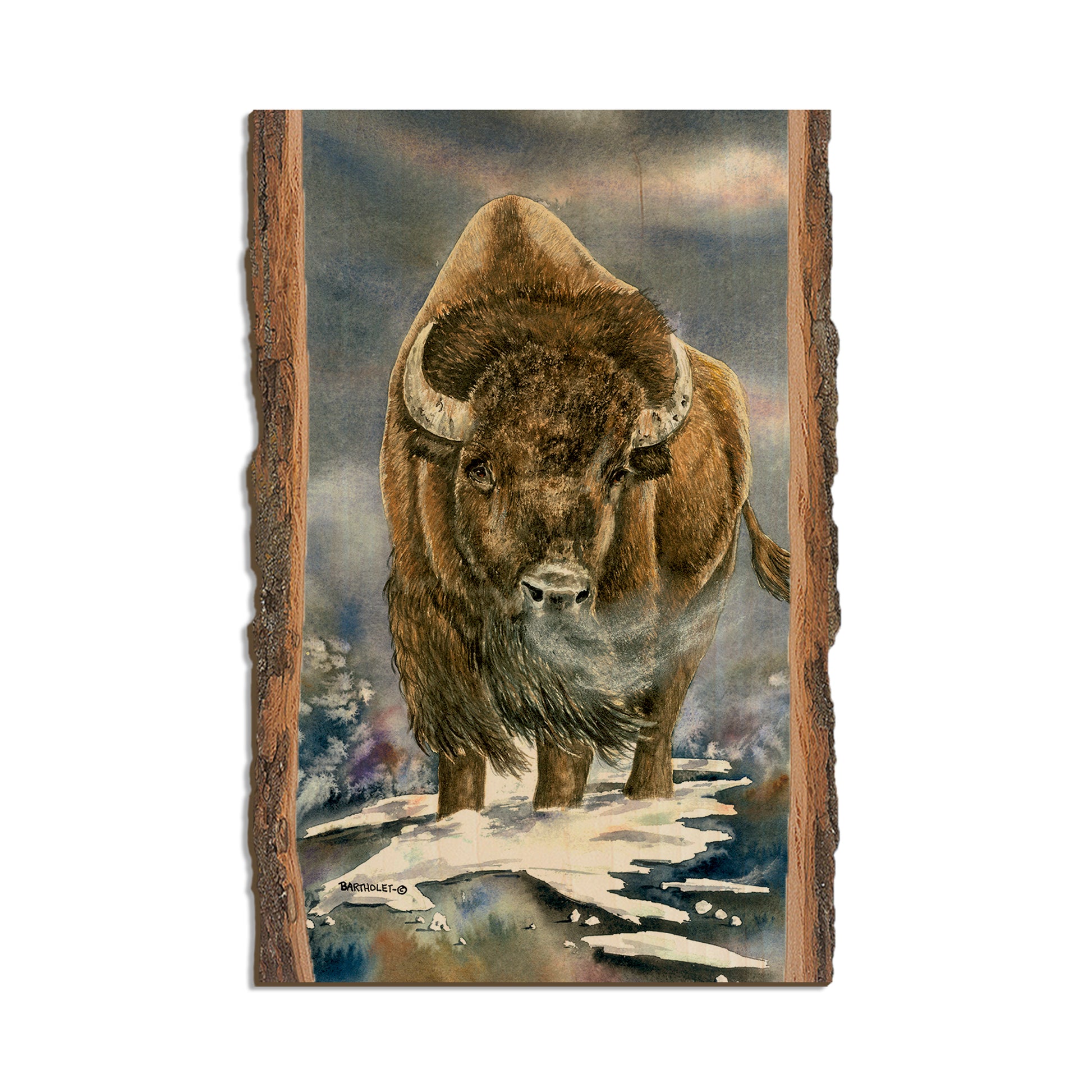 Bartholet's American Buffalo  - Live Edge Live Edge Postcard (5pk // $2.80ea)