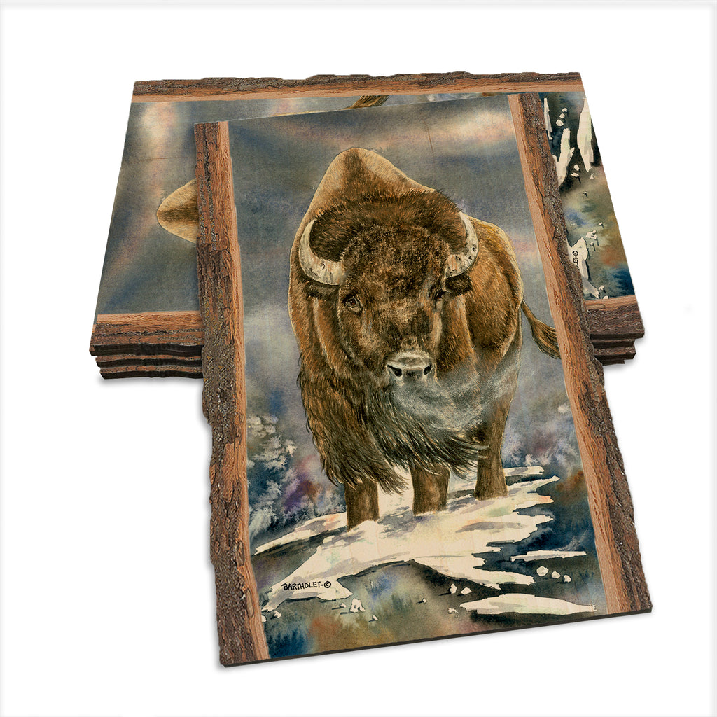 Bartholet's American Buffalo  - Live Edge Live Edge Postcard (5pk // $2.80ea)