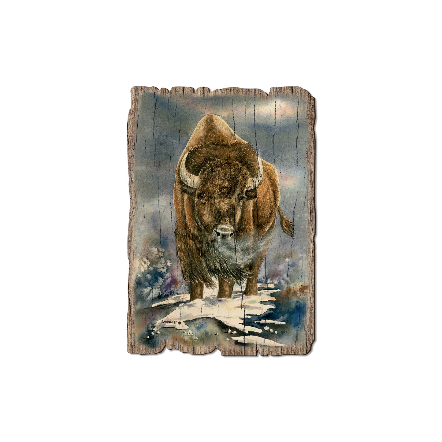 Bartholet's American Buffalo - Rustic Edge Postcards & Magnets Rustic Edge Magnet (5pk // $2.80ea)