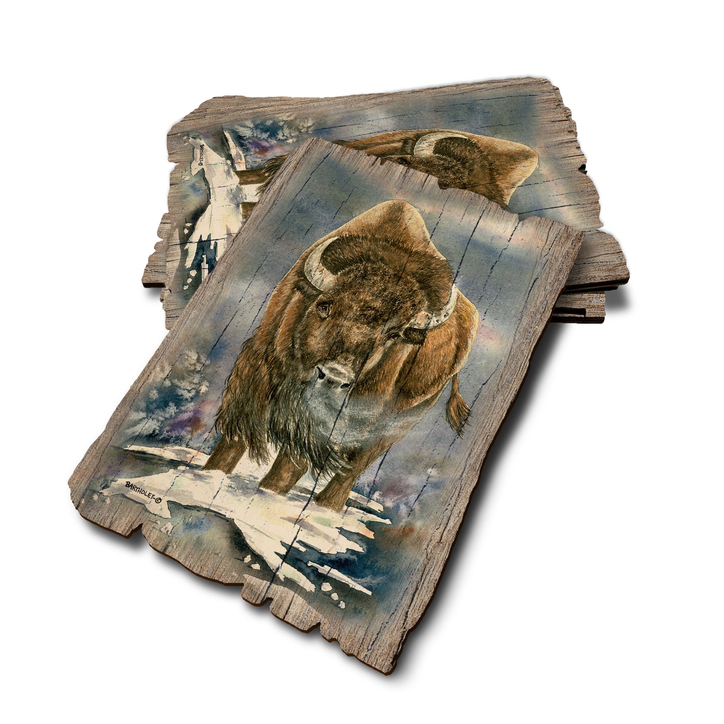 Bartholet's American Buffalo - Weathered Edge Rustic Edge Postcard (5pk // $2.80ea)