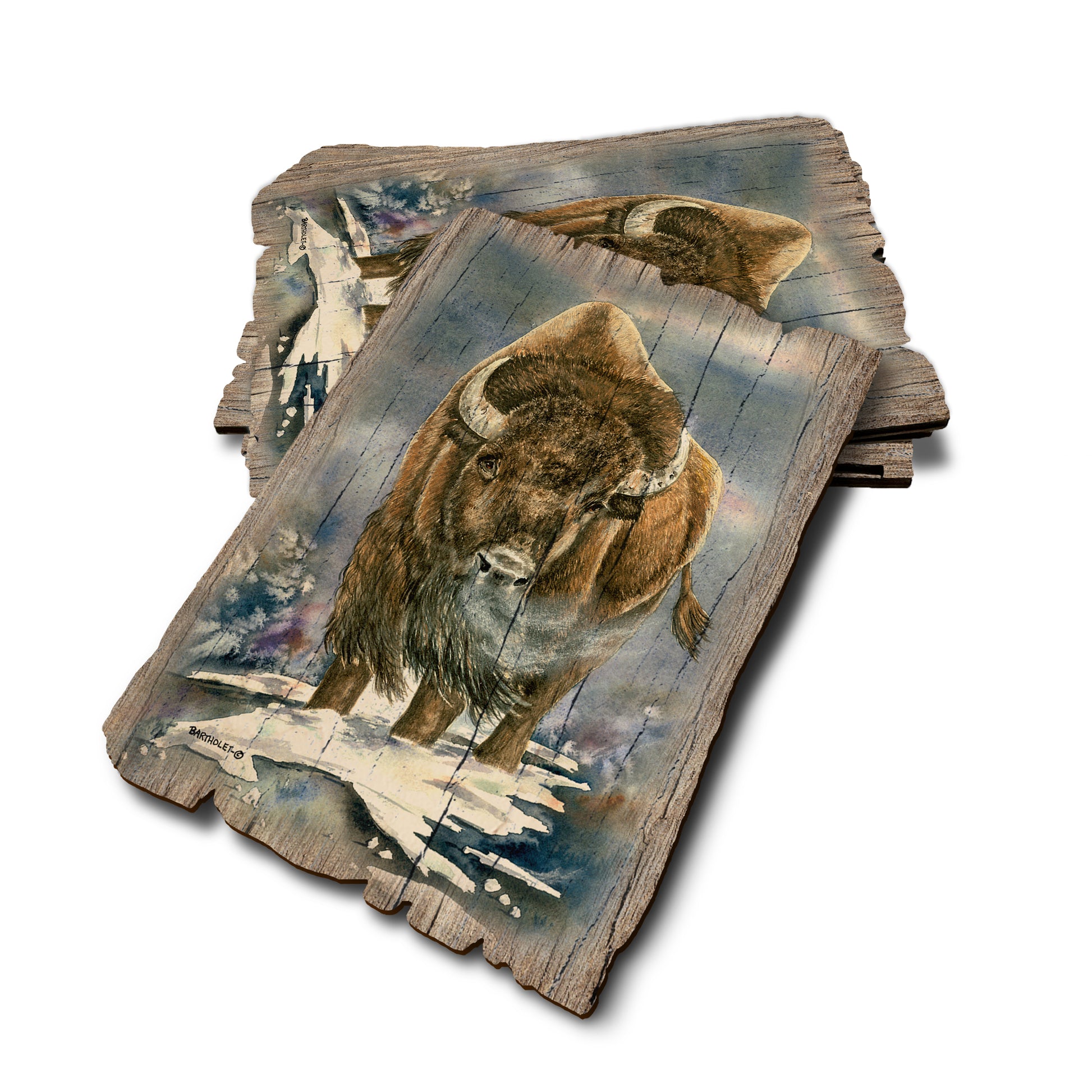 Bartholet's American Buffalo - Weathered Edge Rustic Edge Postcard (5pk // $2.80ea)