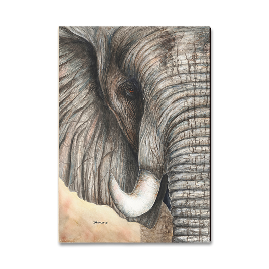 Magnet: Classic Edge - Bartholet's African Elephant (Pack of 5)