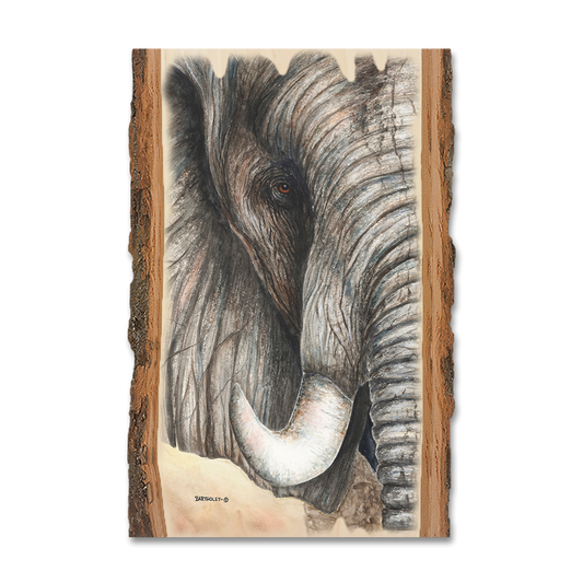 Greeting Card: Live Edge - Bartholet's African Elephant