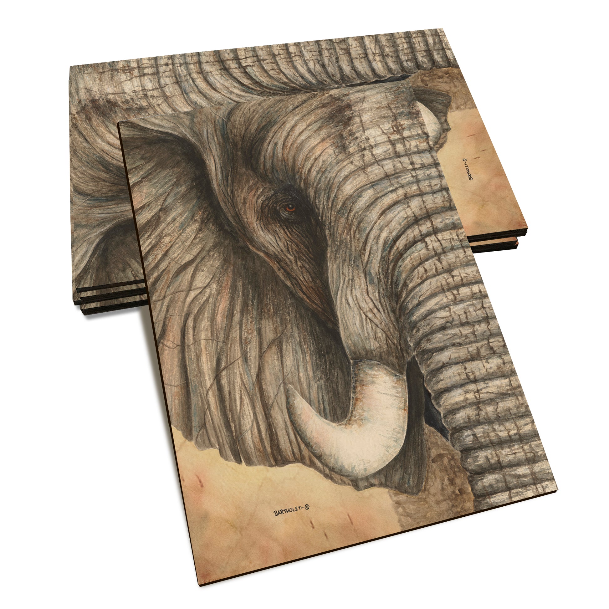 Bartholet's African Elephant  - Classic Edge Classic Edge Postcard (5pk // $2.80ea)