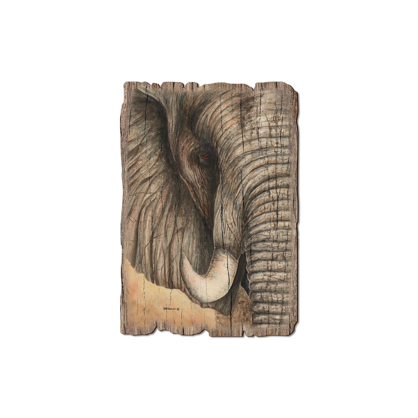 Bartholet's African Elephant - Rustic Edge Postcards & Magnets Rustic Edge Magnet (5pk // $2.80ea)