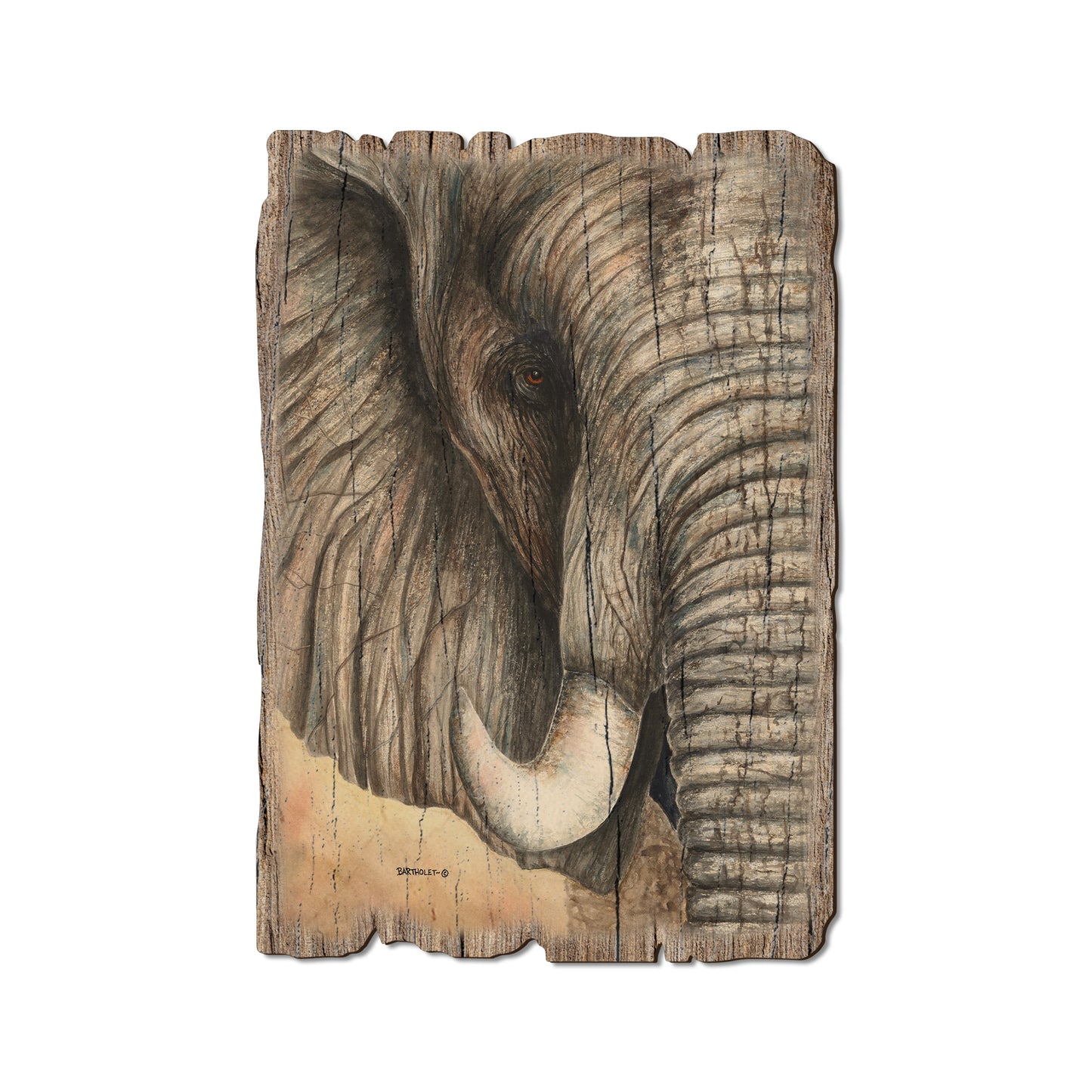 Bartholet's African Elephant - Rustic Edge Postcards & Magnets Rustic Edge Postcard (5pk // $2.80ea)