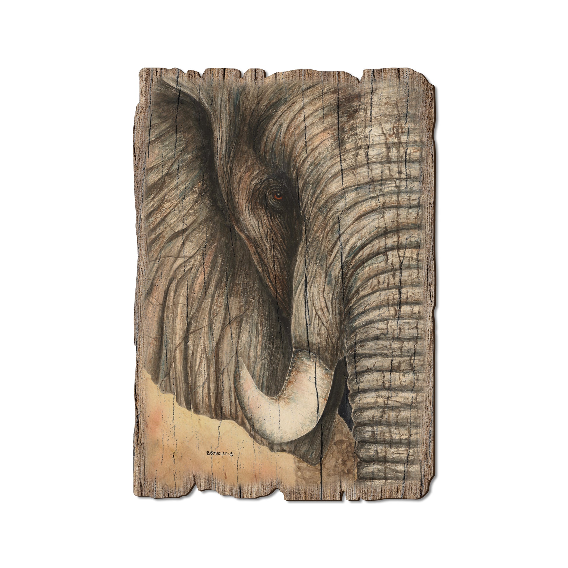 Bartholet's African Elephant - Rustic Edge Postcards & Magnets Rustic Edge Postcard (5pk // $2.80ea)