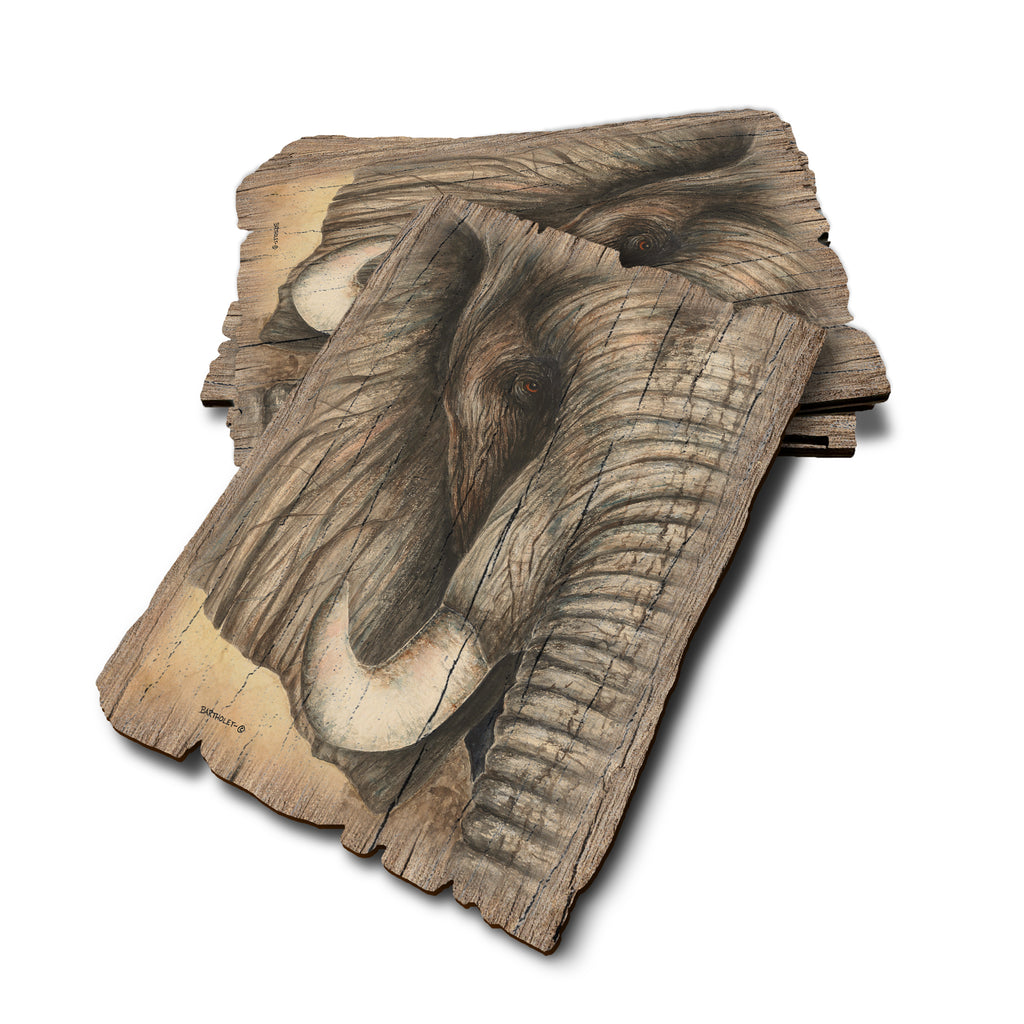 Bartholet's African Elephant - Weathered Edge Rustic Edge Postcard (5pk // $2.80ea)