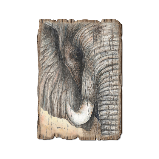 Greeting Card: Weathered Edge - Bartholet's African Elephant