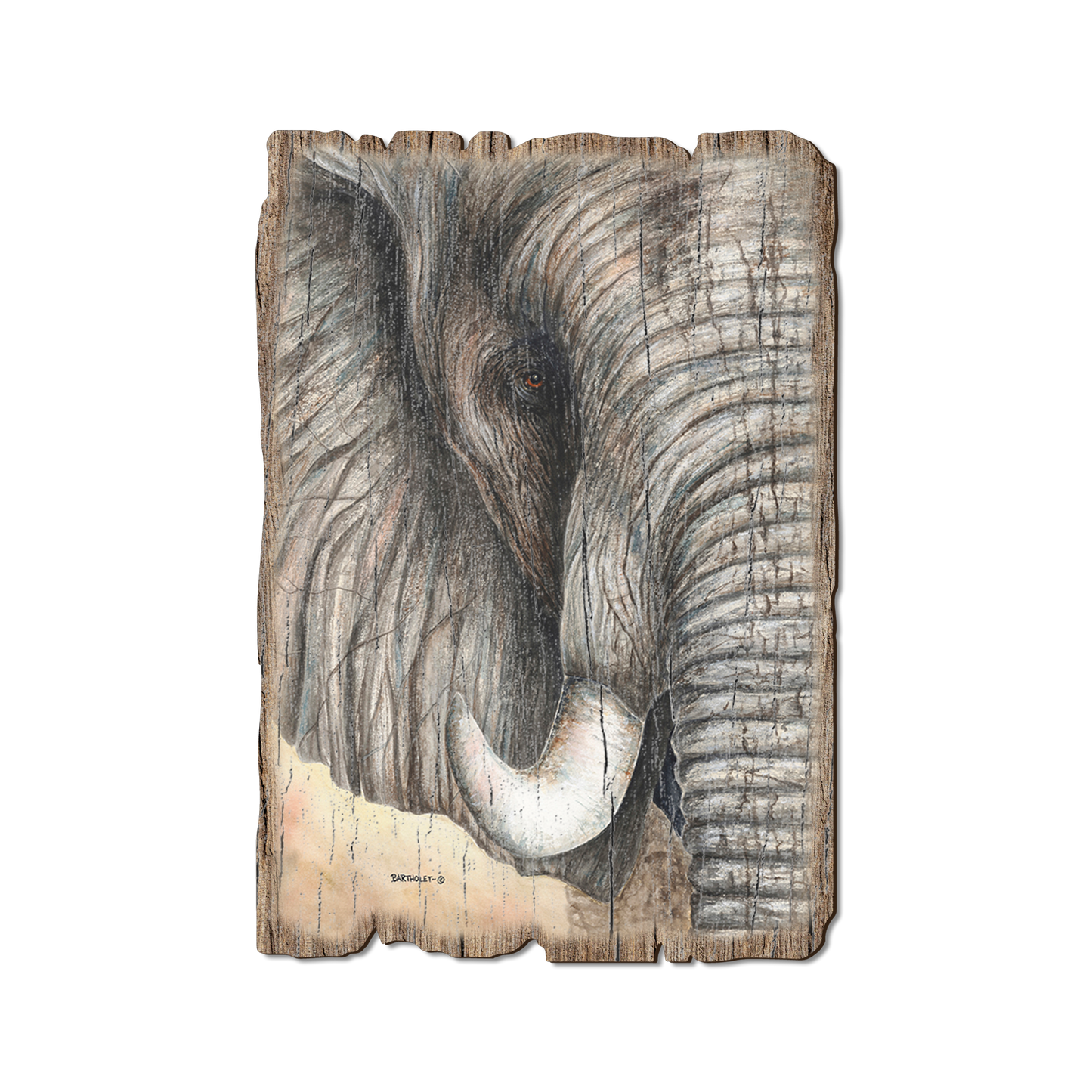Ornament: Weathered Edge - Bartholet's African Elephant