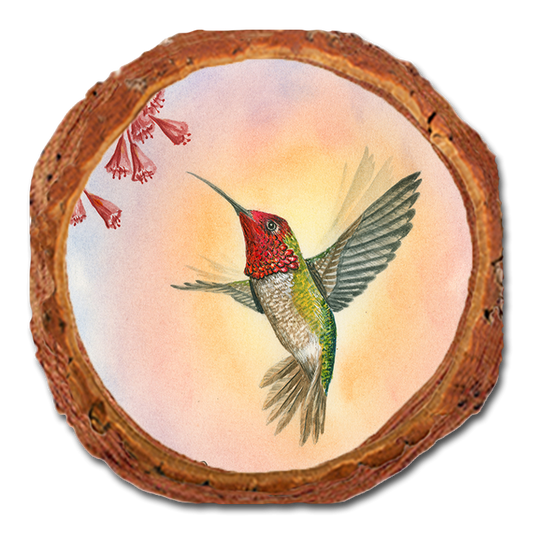 Coaster: Live Edge - Bartholet's Anna Hummingbird (Pack of 5)