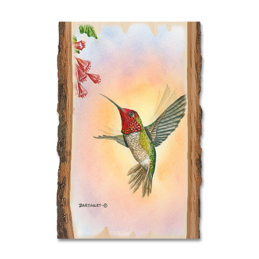 Greeting Card: Live Edge - Bartholet's Anna Hummingbird