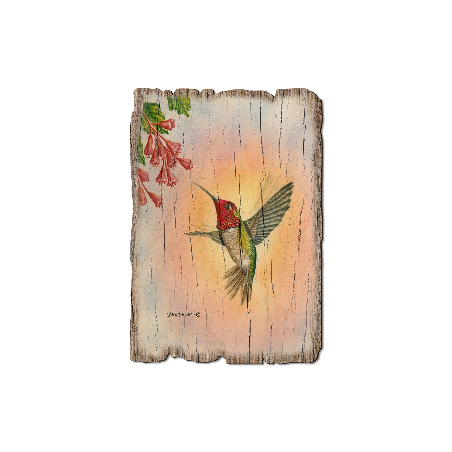 Bartholet's Anna Hummingbird - Rustic Edge Postcards & Magnets Rustic Edge Magnet (5pk // $2.80ea)