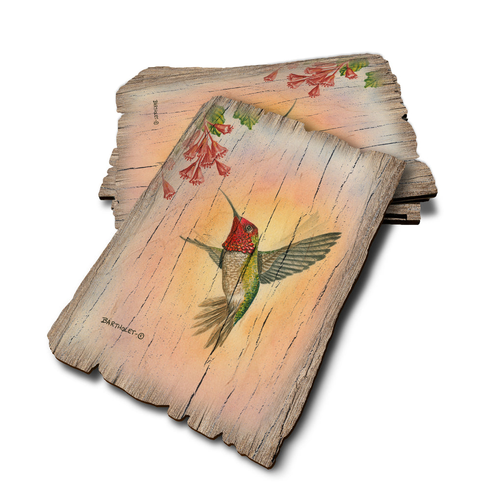 Bartholet's Anna Hummingbird - Weathered Edge Rustic Edge Postcard (5pk // $2.80ea)