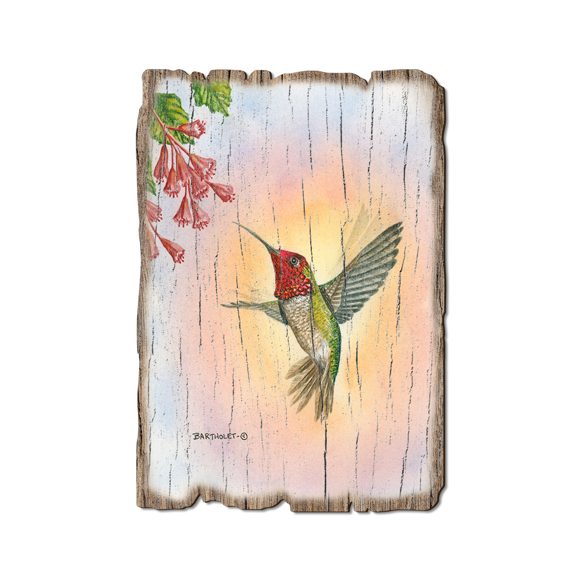 Greeting Card: Weathered Edge - Bartholet's Anna Hummingbird (Pack of 5)
