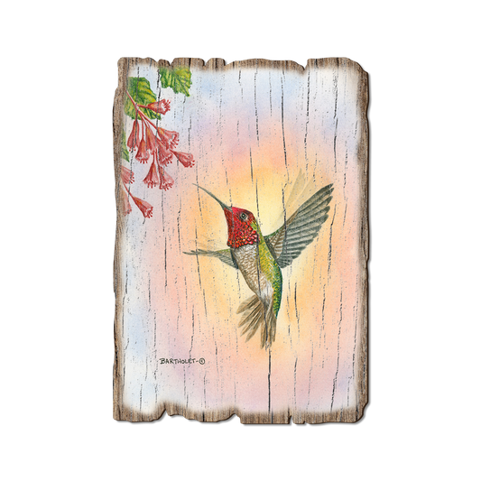Greeting Card: Weathered Edge - Bartholet's Anna Hummingbird (Pack of 5)