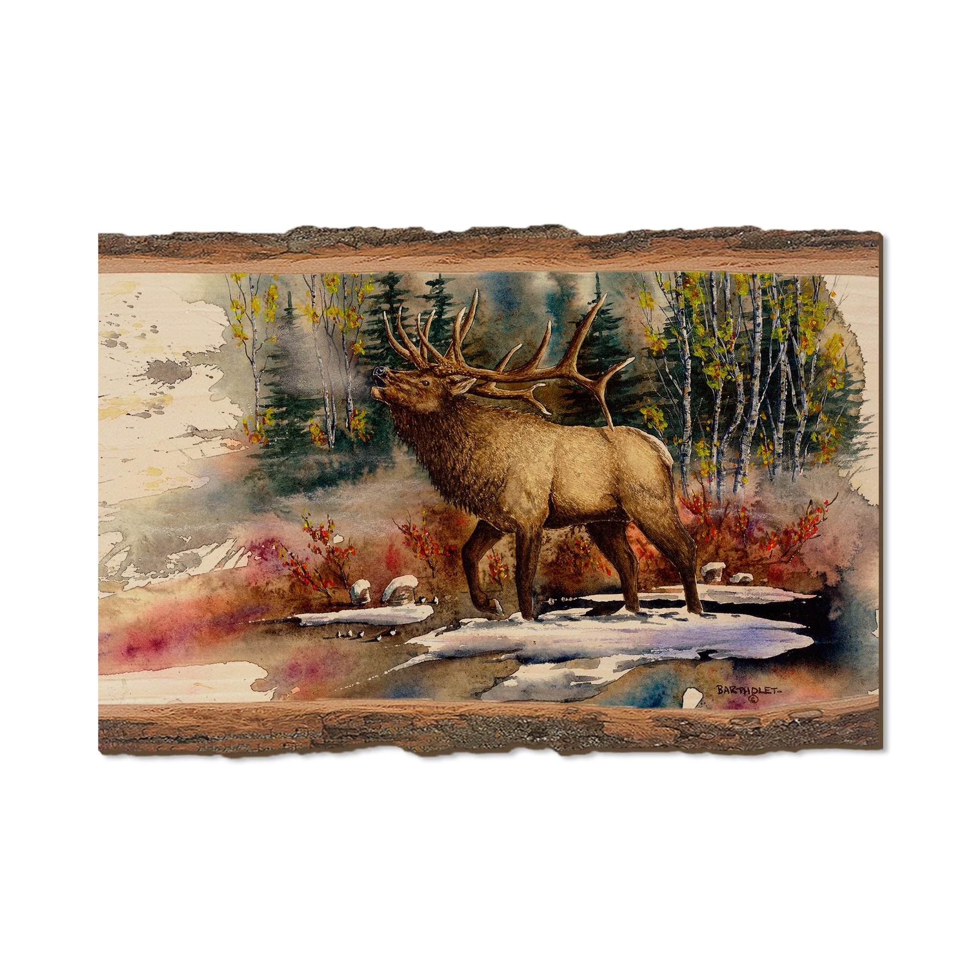 Bartholet's Autumn Music  - Live Edge Live Edge Postcard (5pk // $2.80ea)