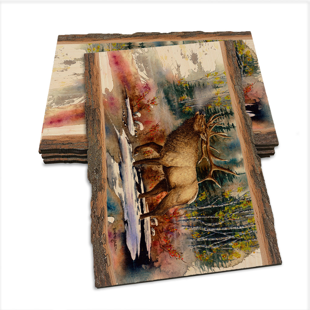 Bartholet's Autumn Music  - Live Edge Live Edge Postcard (5pk // $2.80ea)