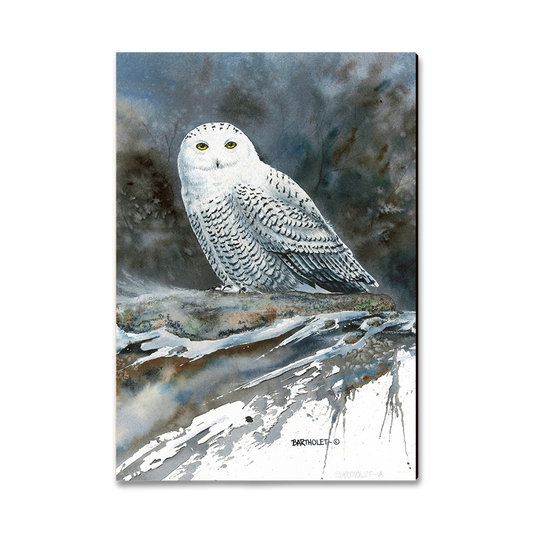 Magnet: Classic Edge - Bartholet's Arctic Ghost