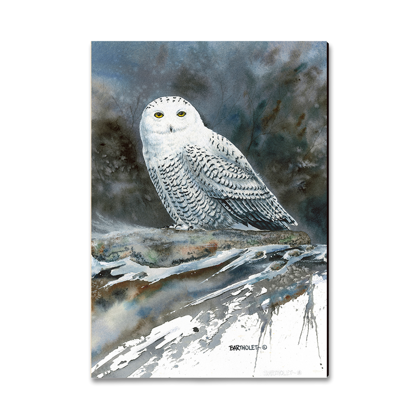 Ornament: Classic Edge - Bartholet's Arctic Ghost