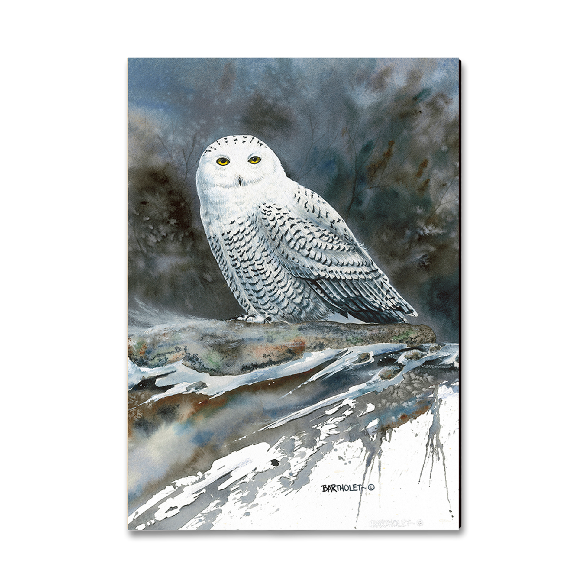 Postcard: Classic Edge - Bartholet's Arctic Ghost