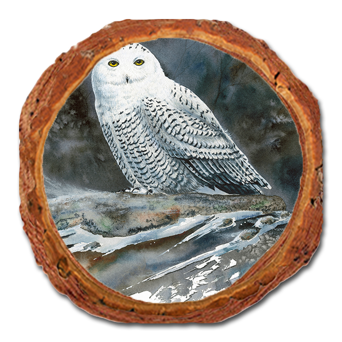 Coaster: Live Edge - Bartholet's Arctic Ghost
