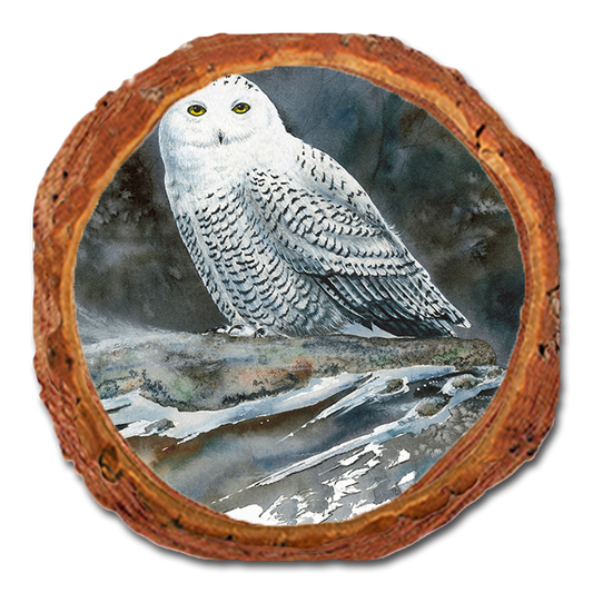 Coaster: Live Edge - Bartholet's Arctic Ghost