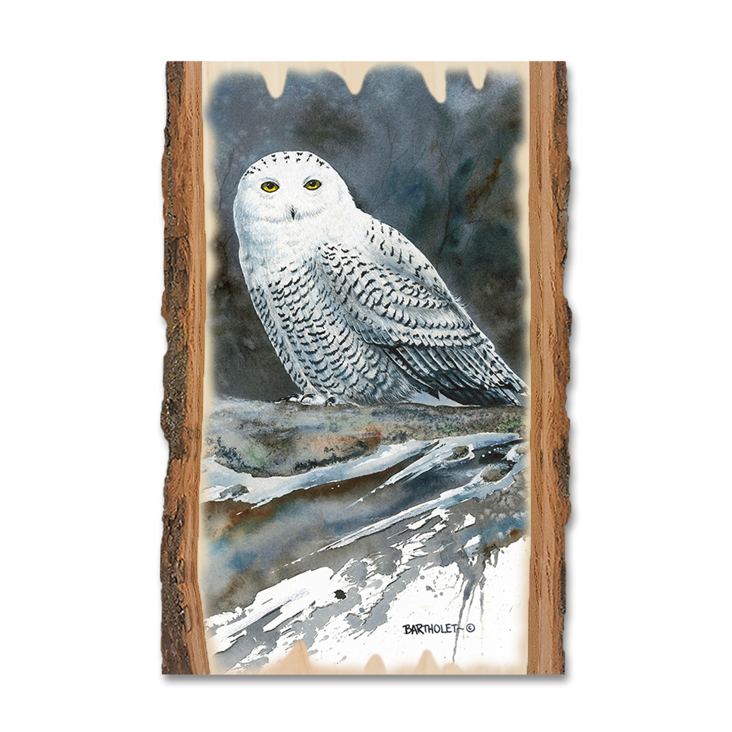 Magnet: Live Edge - Bartholet's Arctic Ghost