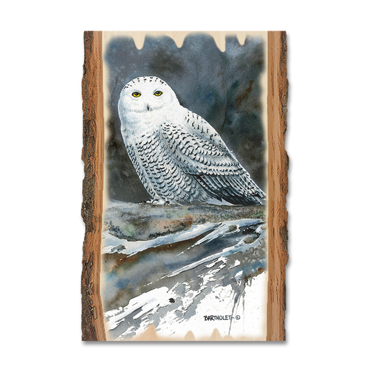 Magnet: Live Edge - Bartholet's Arctic Ghost