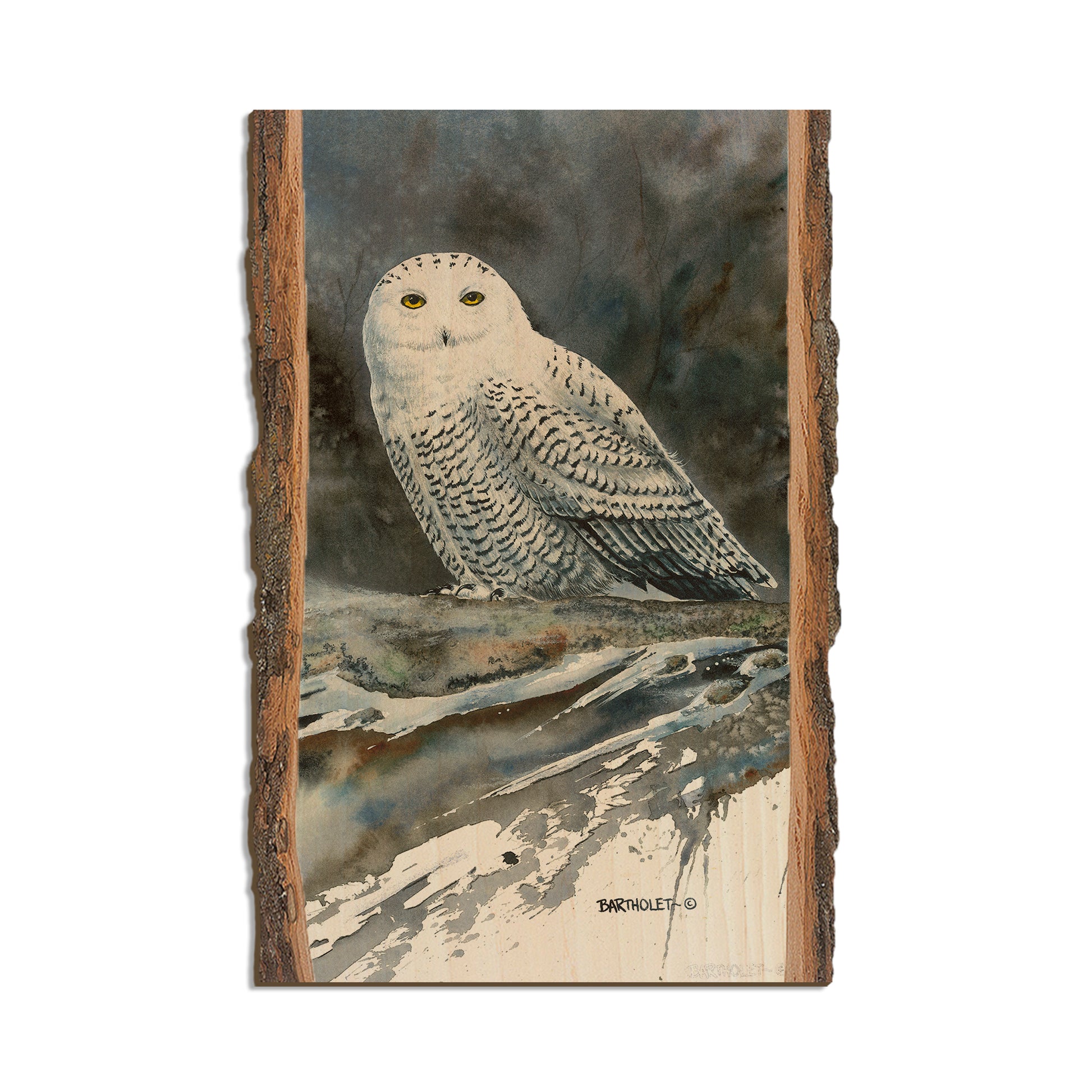 Bartholet's Arctic Ghost  - Live Edge Live Edge Postcard (5pk // $2.80ea)