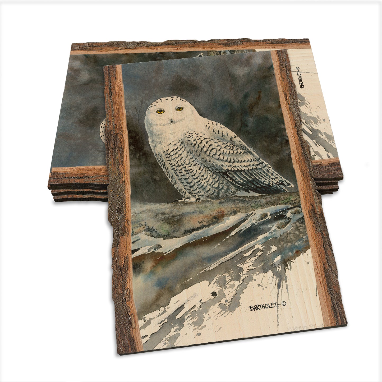 Bartholet's Arctic Ghost  - Live Edge Live Edge Postcard (5pk // $2.80ea)