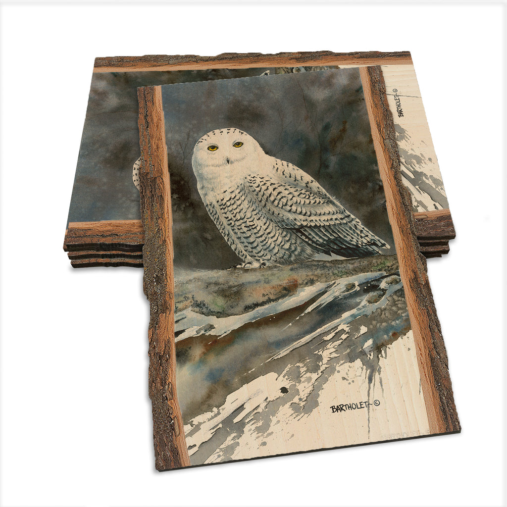 Bartholet's Arctic Ghost  - Live Edge Live Edge Postcard (5pk // $2.80ea)