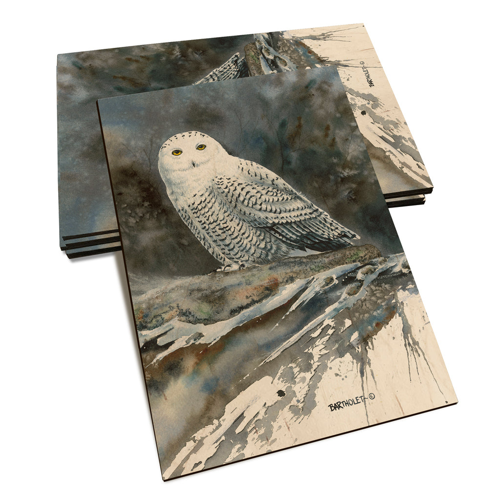 Bartholet's Arctic Ghost  - Classic Edge Classic Edge Postcard (5pk // $2.80ea)