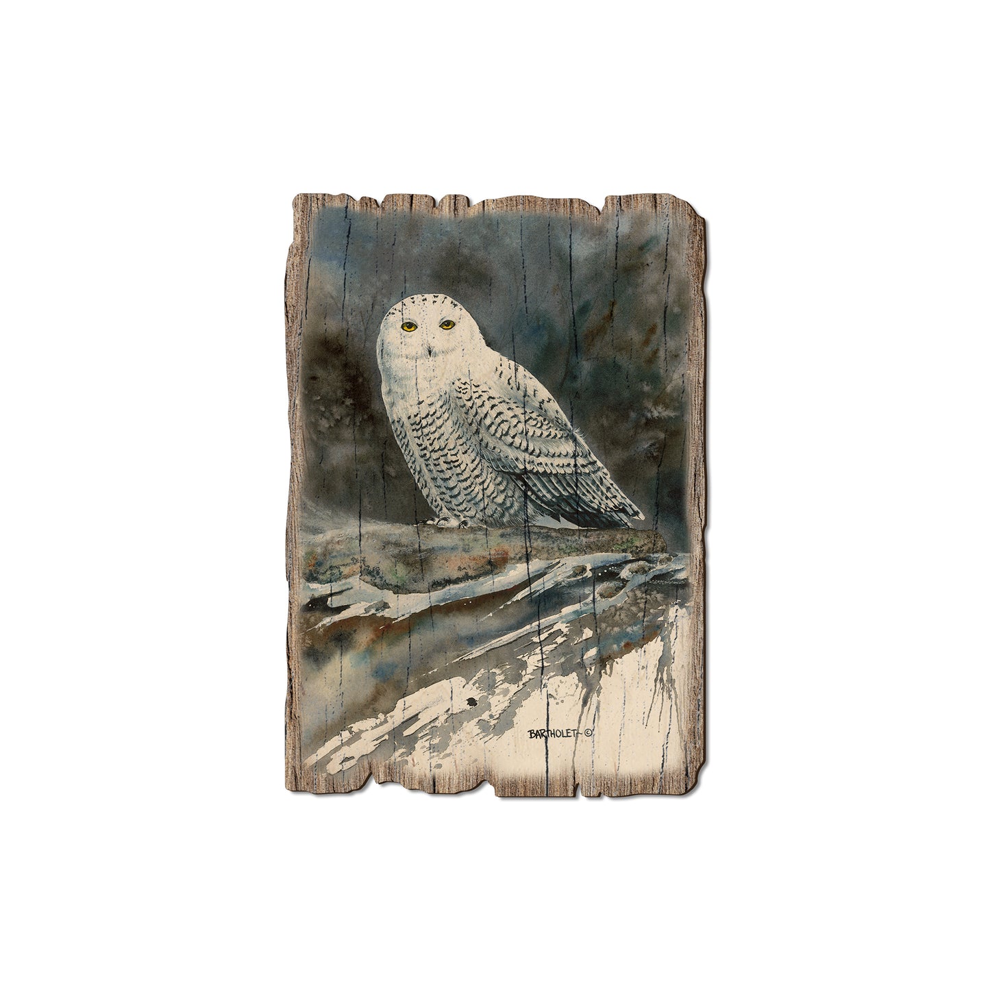 Bartholet's Arctic Ghost - Rustic Edge Postcards & Magnets Rustic Edge Magnet (5pk // $2.80ea)