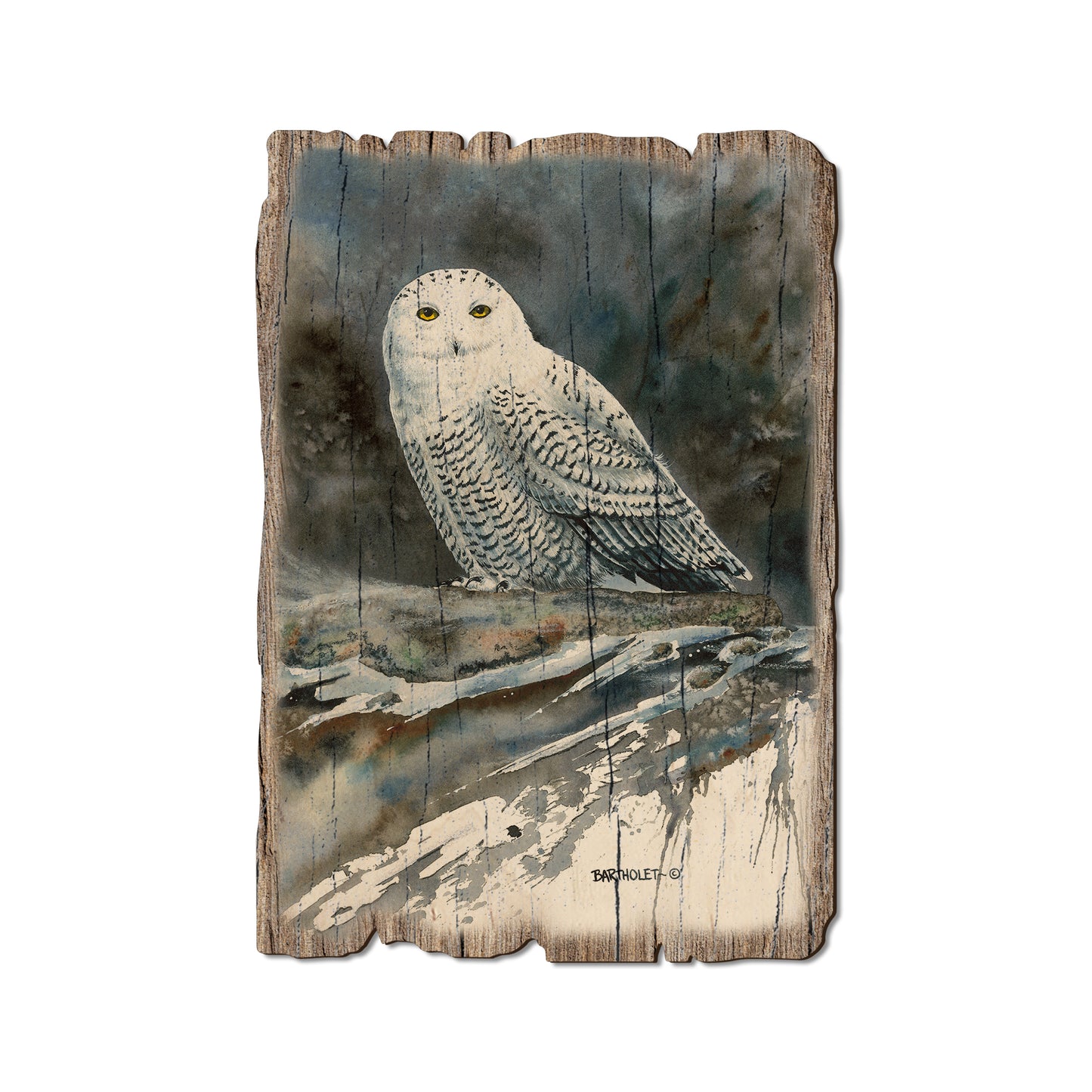 Bartholet's Arctic Ghost - Rustic Edge Postcards & Magnets Rustic Edge Postcard (5pk // $2.80ea)