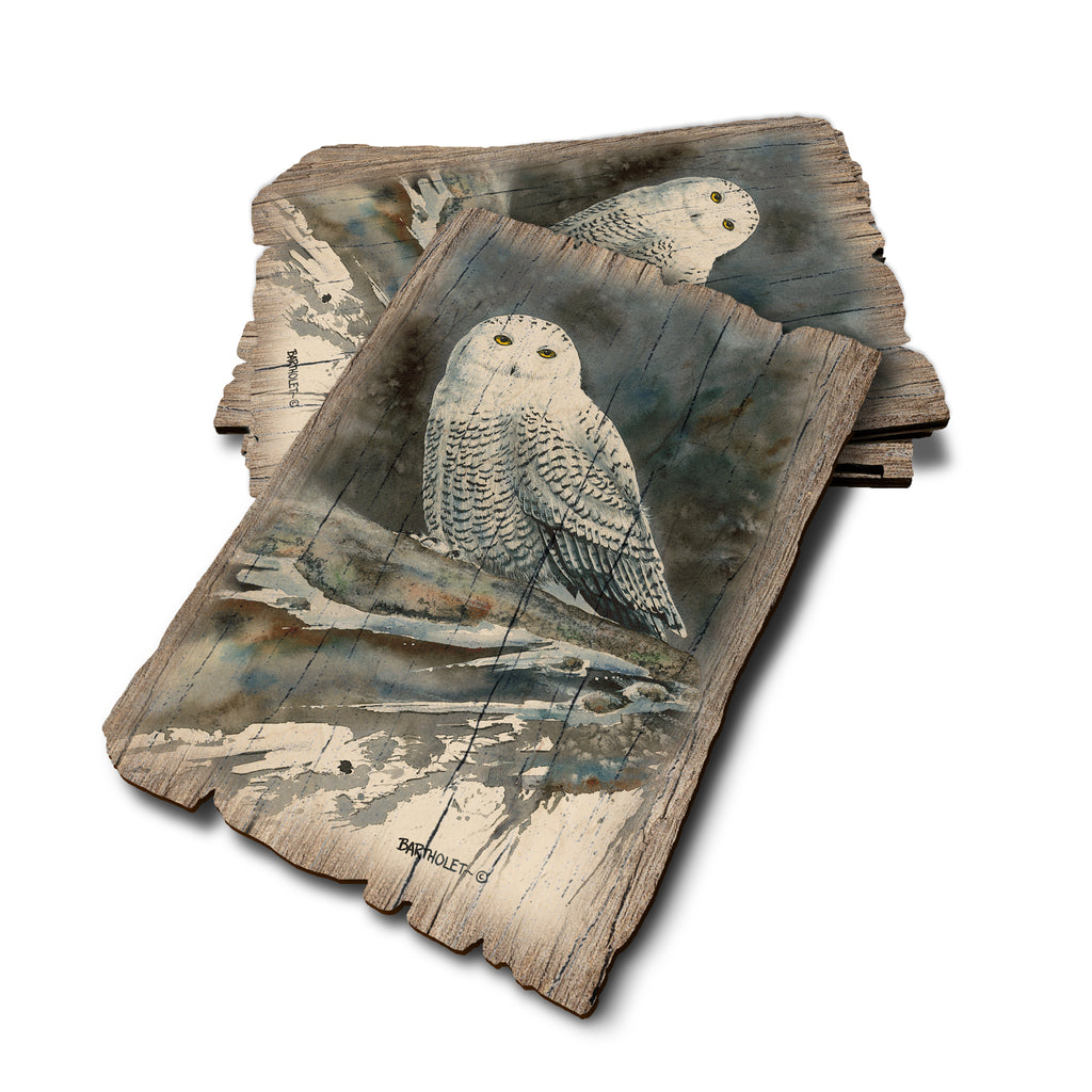 Bartholet's Arctic Ghost - Weathered Edge Rustic Edge Postcard (5pk // $2.80ea)