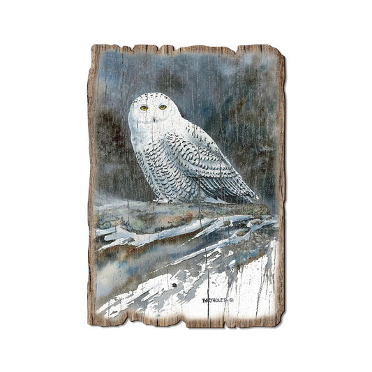 Greeting Card: Weathered Edge - Bartholet's Arctic Ghost