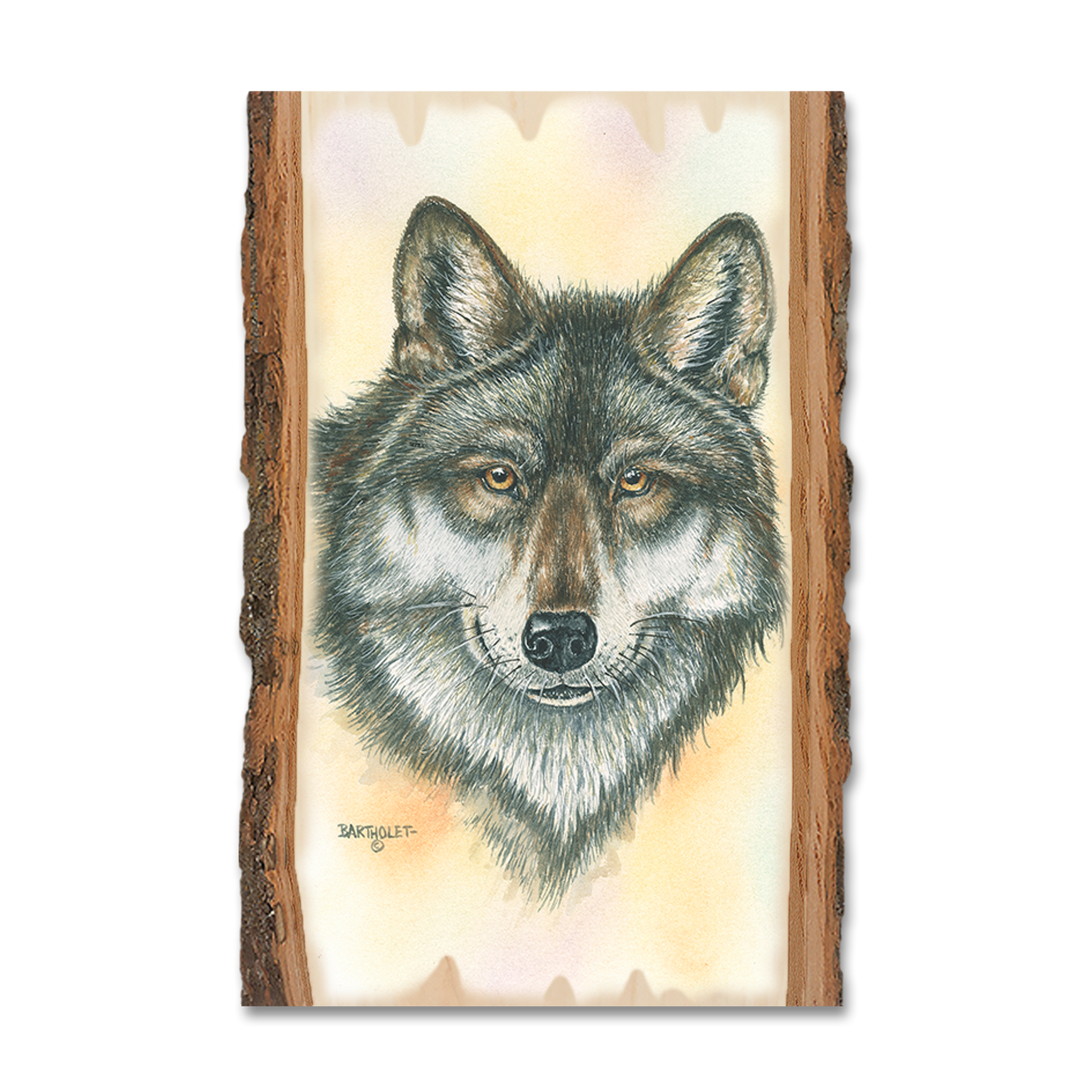 Magnet: Live Edge - Bartholet's Alpha Wolf
