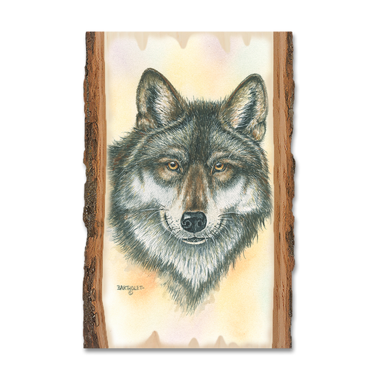 Magnet: Live Edge - Bartholet's Alpha Wolf
