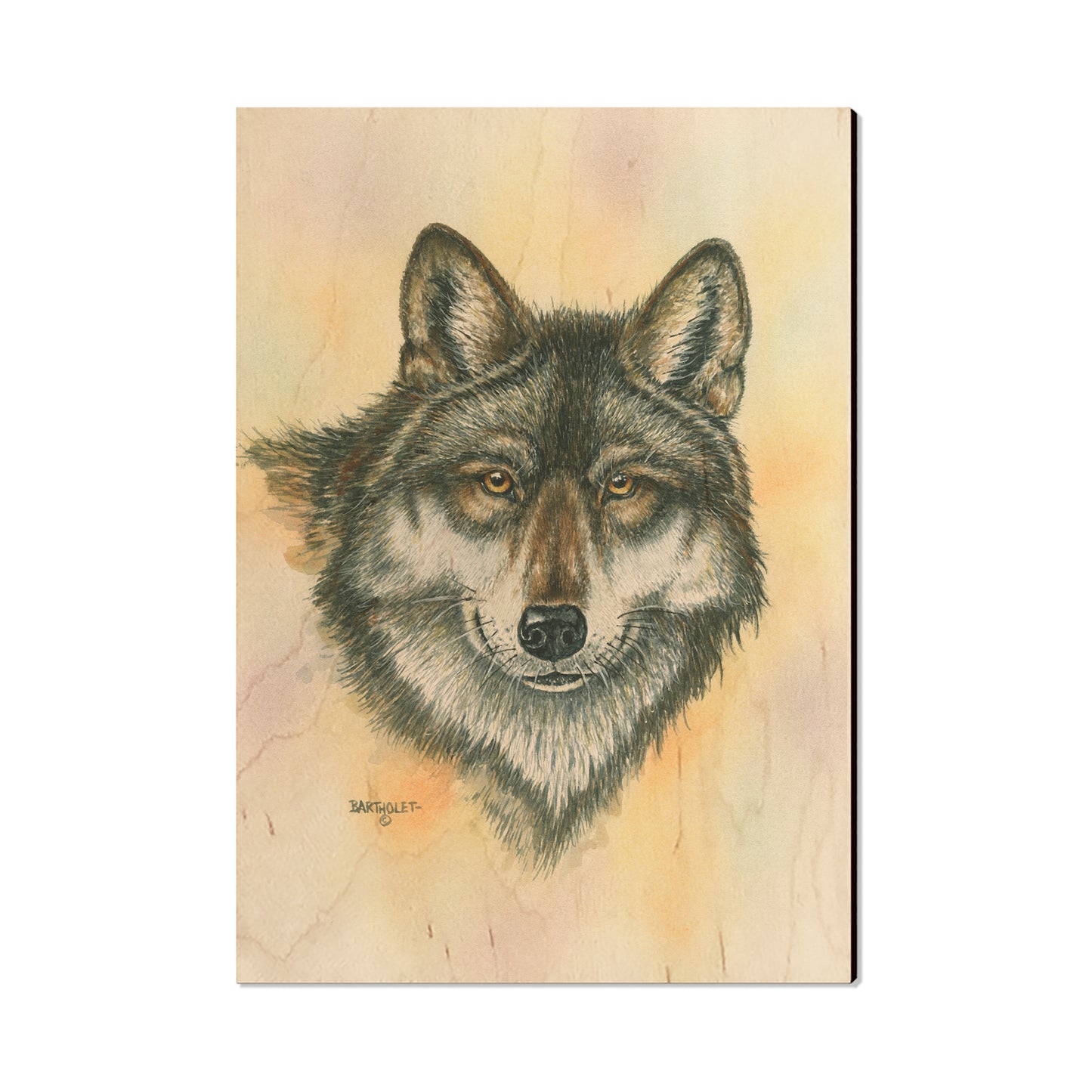 Bartholet's Alpha Wolf  - Classic Edge