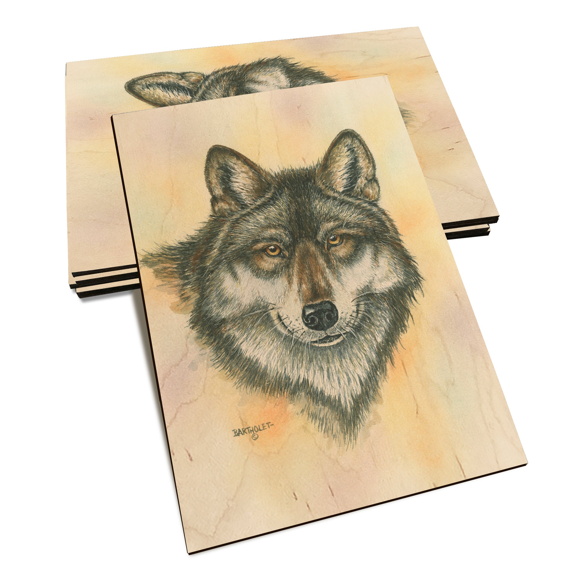 Bartholet's Alpha Wolf  - Classic Edge Classic Edge Postcard (5pk // $2.80ea)