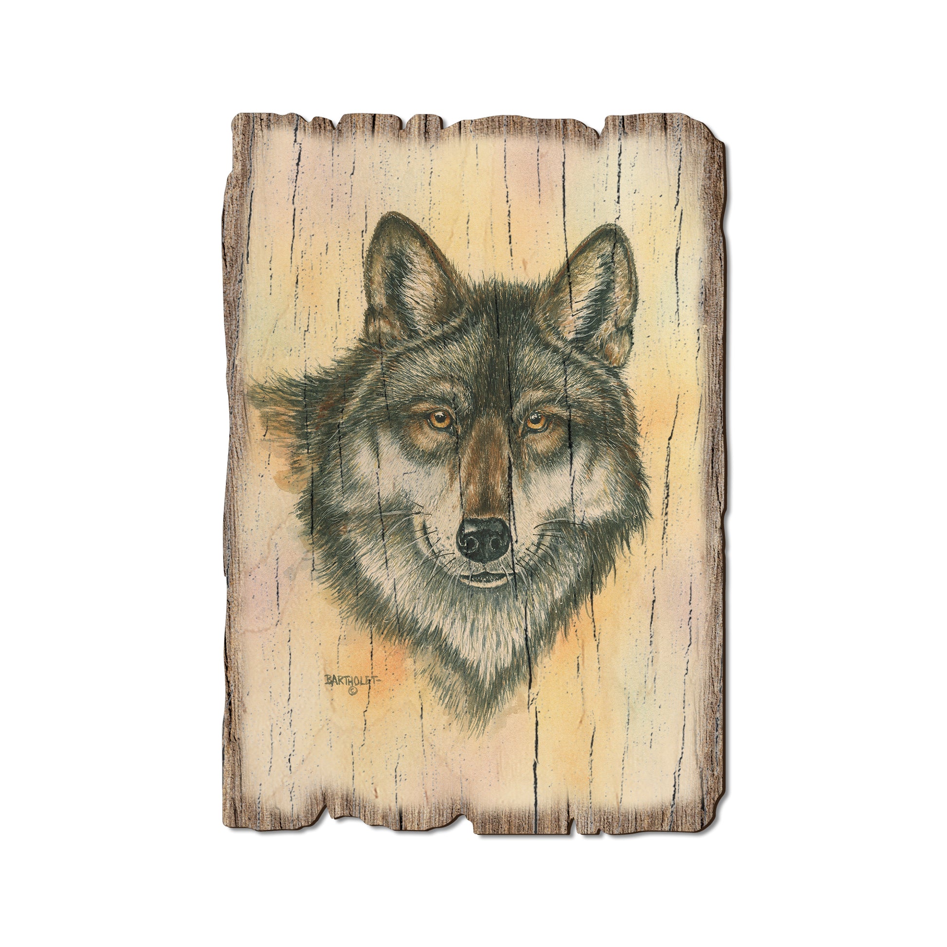 Bartholet's Alpha Wolf - Rustic Edge Postcards & Magnets Rustic Edge Postcard (5pk // $2.80ea)